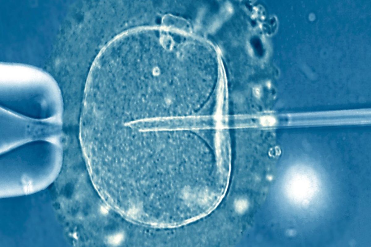 How Long Can a Woman Freeze Her Eggs?