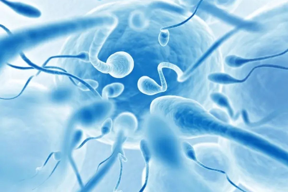 Low Sperm Count: Causes, Tests, and Treatments