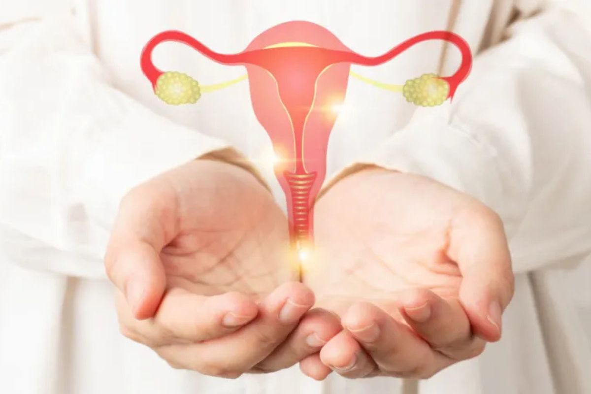 How to Prepare for IUI for Female Patients: Tests, Lifestyle Changes & Timeline