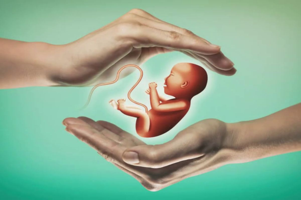 Fertility Preservation for Cancer Patients: Options & Success Guide