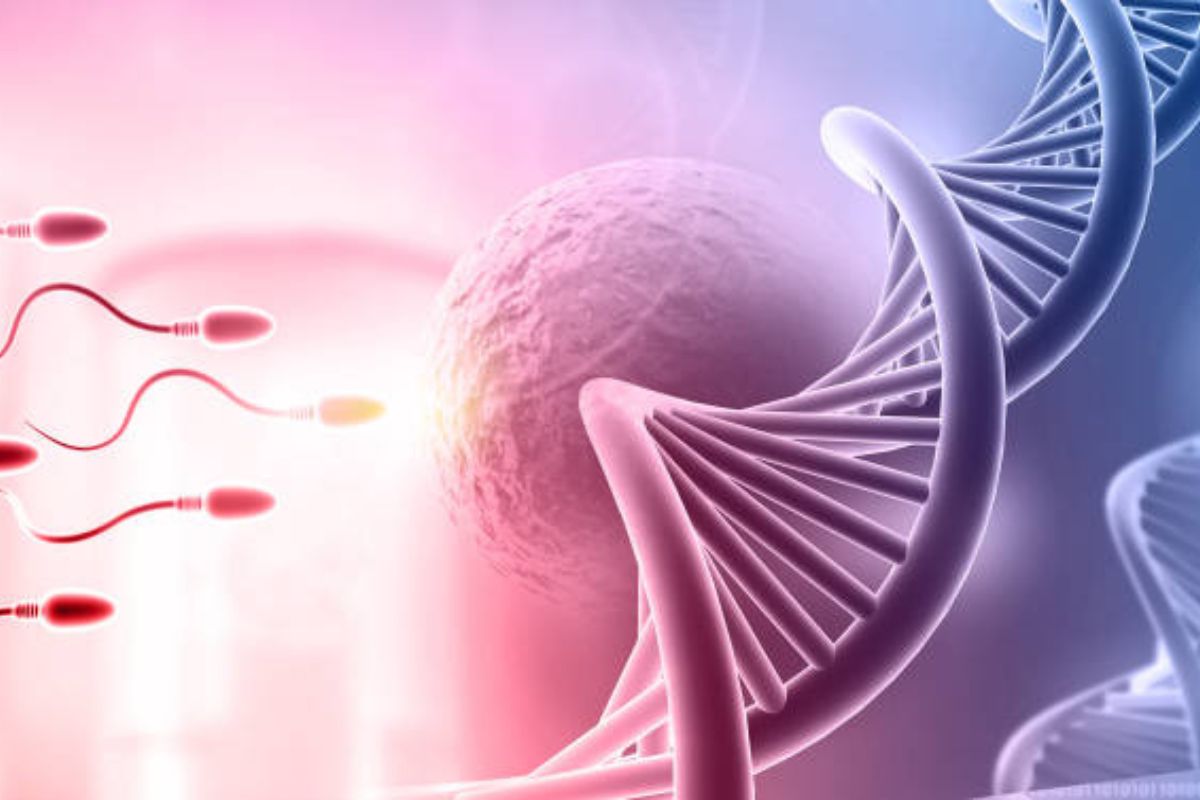 Age and Fertility: When Should You Consider IVF?