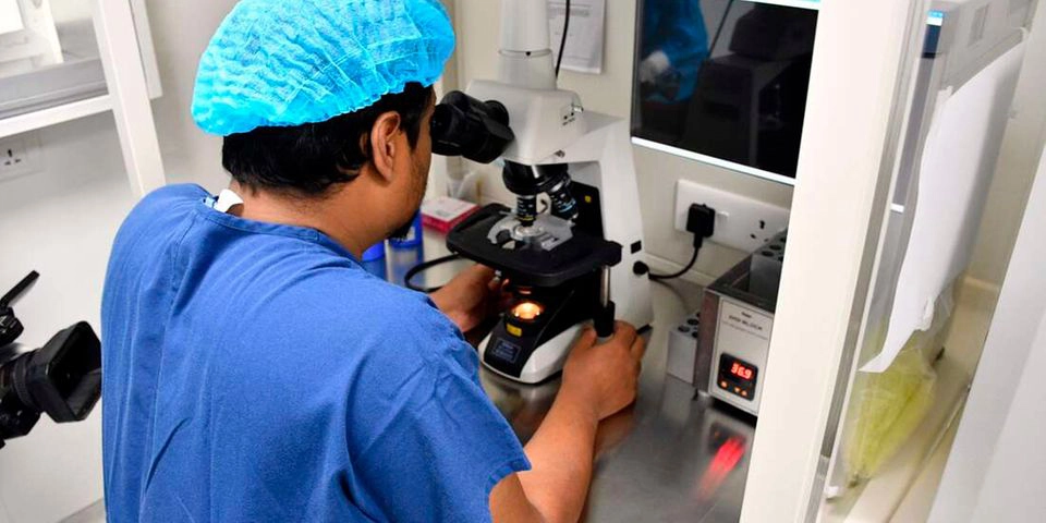 Why looks matter: Women prefer handsome and well built sperm donors