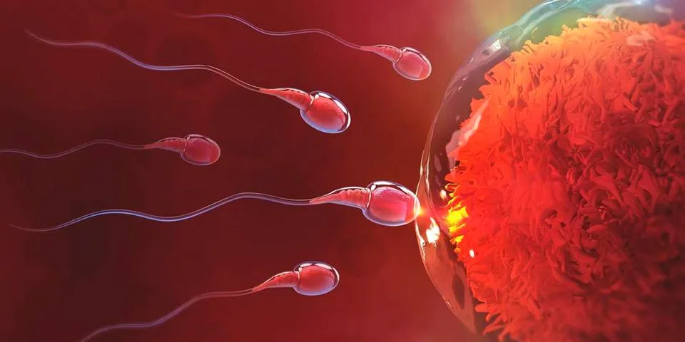 More Kenyan Men Fail To Pregnate Their Lovers